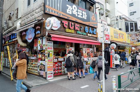 新大久保 ランチ おすすめ ～異世界の扉を開く味覚の旅～